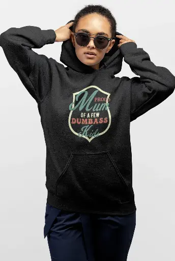 Proud Mom of a Few Dumbass Kids Hoodie
